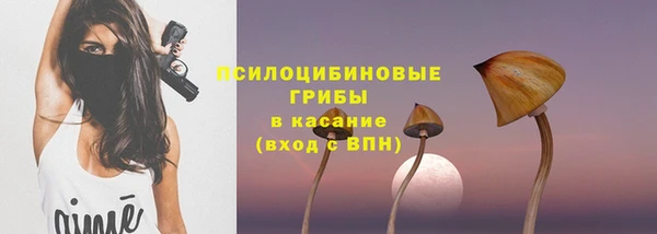COCAINE Богородицк