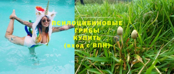 кристаллы Богданович